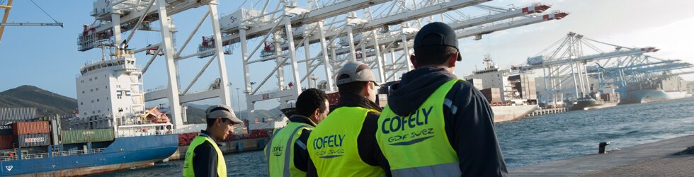 Cofely GDF SUEZ
